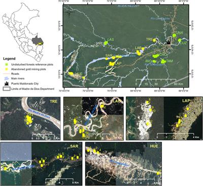Natural Regeneration After Gold Mining in the Peruvian Amazon: Implications for Restoration of Tropical Forests